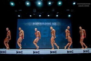 BODYBUILDING 102